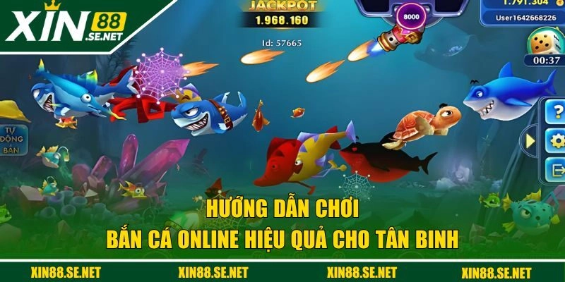 Cách săn cá online hiệu quả