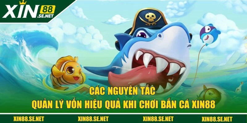 Các nguyên tắc quản lý vốn hiệu quả tại bắn cá XIN88
