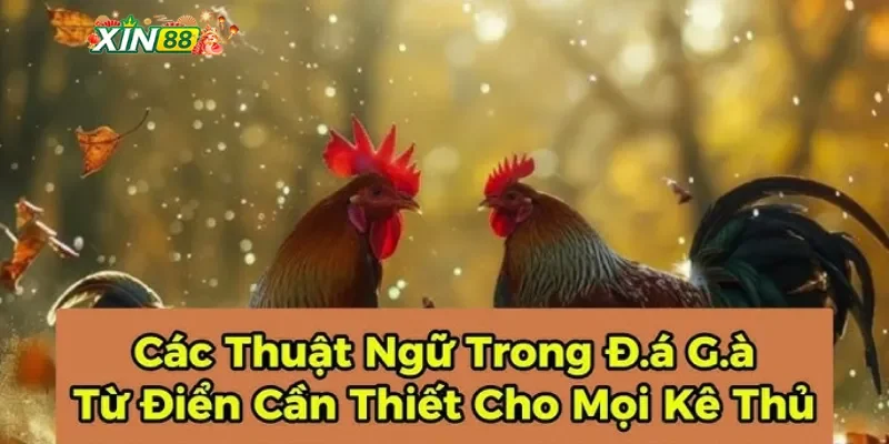 Lợi ích của việc hiểu thuật ngữ đá gà tại sân chơi trực tuyến