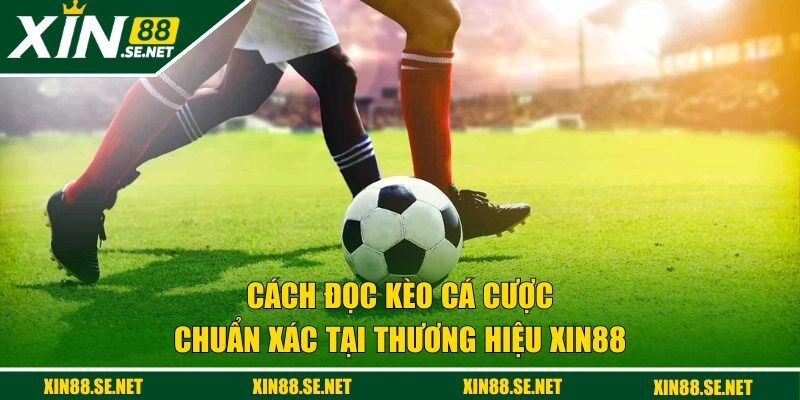 cách đọc kèo cá cược